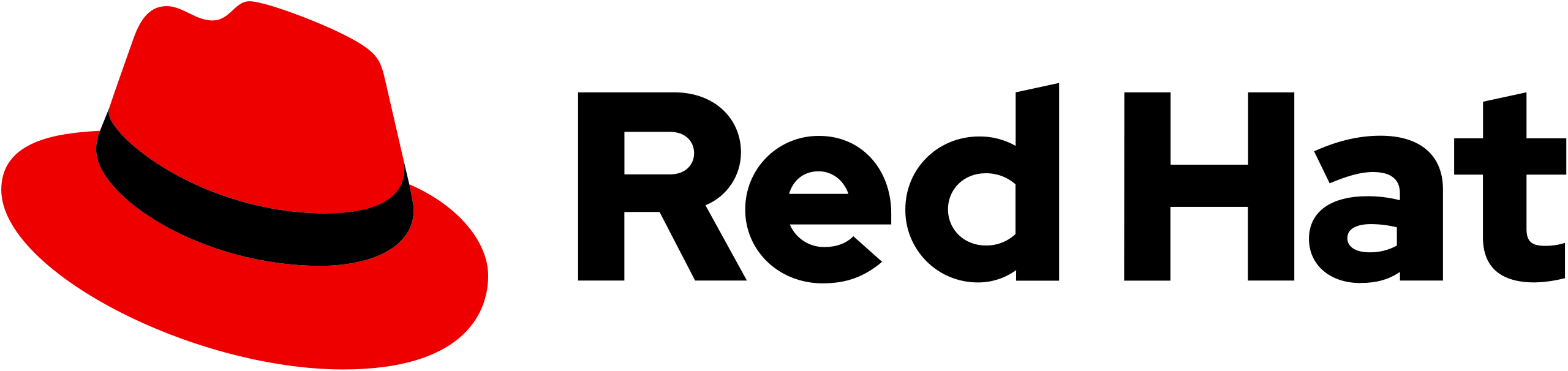 assets/img/redhat.png